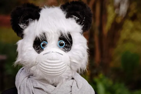 SpinShake Kazino Pagalba